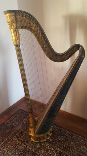 dooley harp