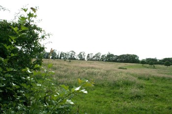 Hill behind former Steventon rectory