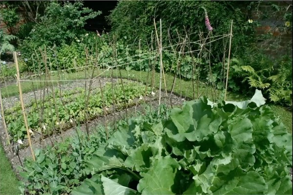 Kitchen Garden at Jane Austen's House