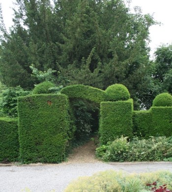 Shrubbery at Houghton Lodge